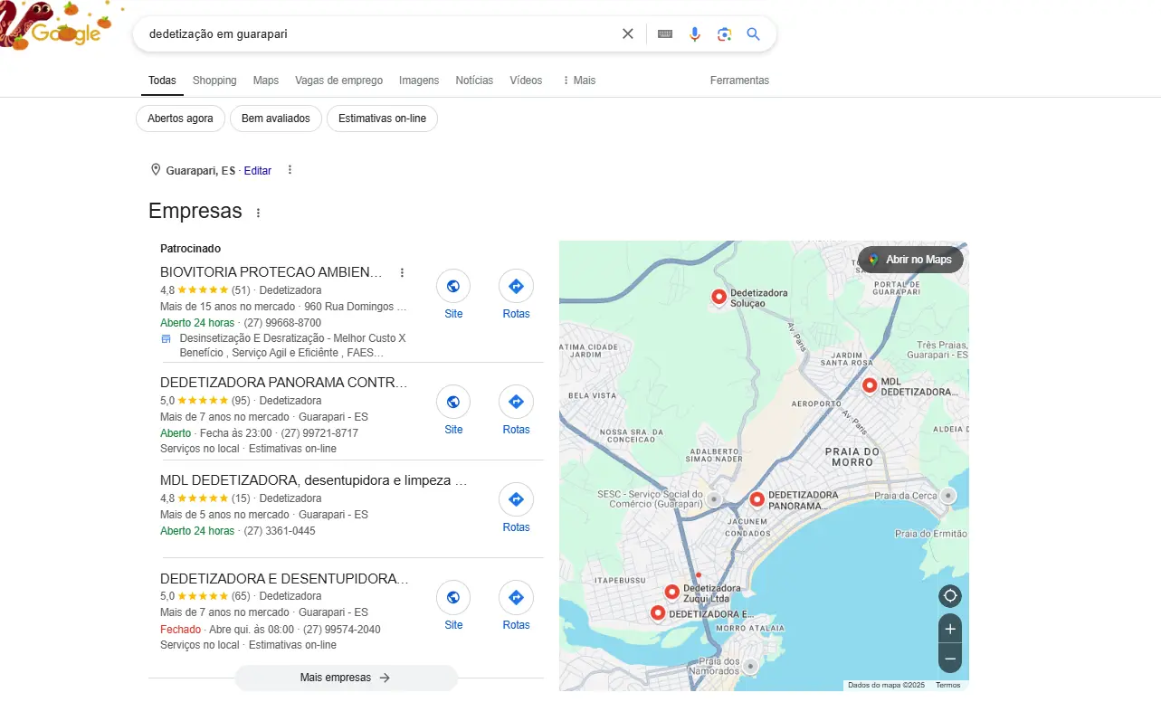 exemplo de google meu negócio no ramo de dedetização na cidade de guarapari