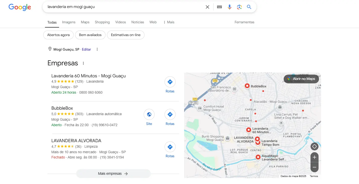 exemplo de google meu negócio para lavanderia em mogi guaçu